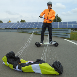 Plants: image 3 0f 4 thumb