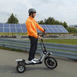 Plants: image 3 0f 4 thumb