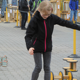 Plants: image 1 0f 4 thumb