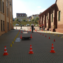 Plants: image 1 0f 4 thumb