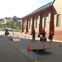 Plants: image 2 0f 4 thumb