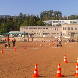 Plants: image 3 0f 4 thumb