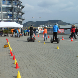 Plants: image 2 0f 4 thumb