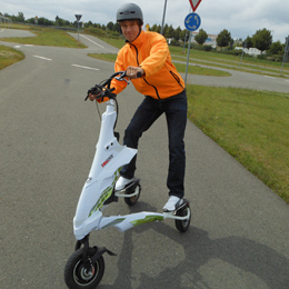 Plants: image 3 0f 4 thumb