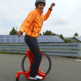 Plants: image 3 0f 4 thumb